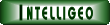 Intelligeo.eu